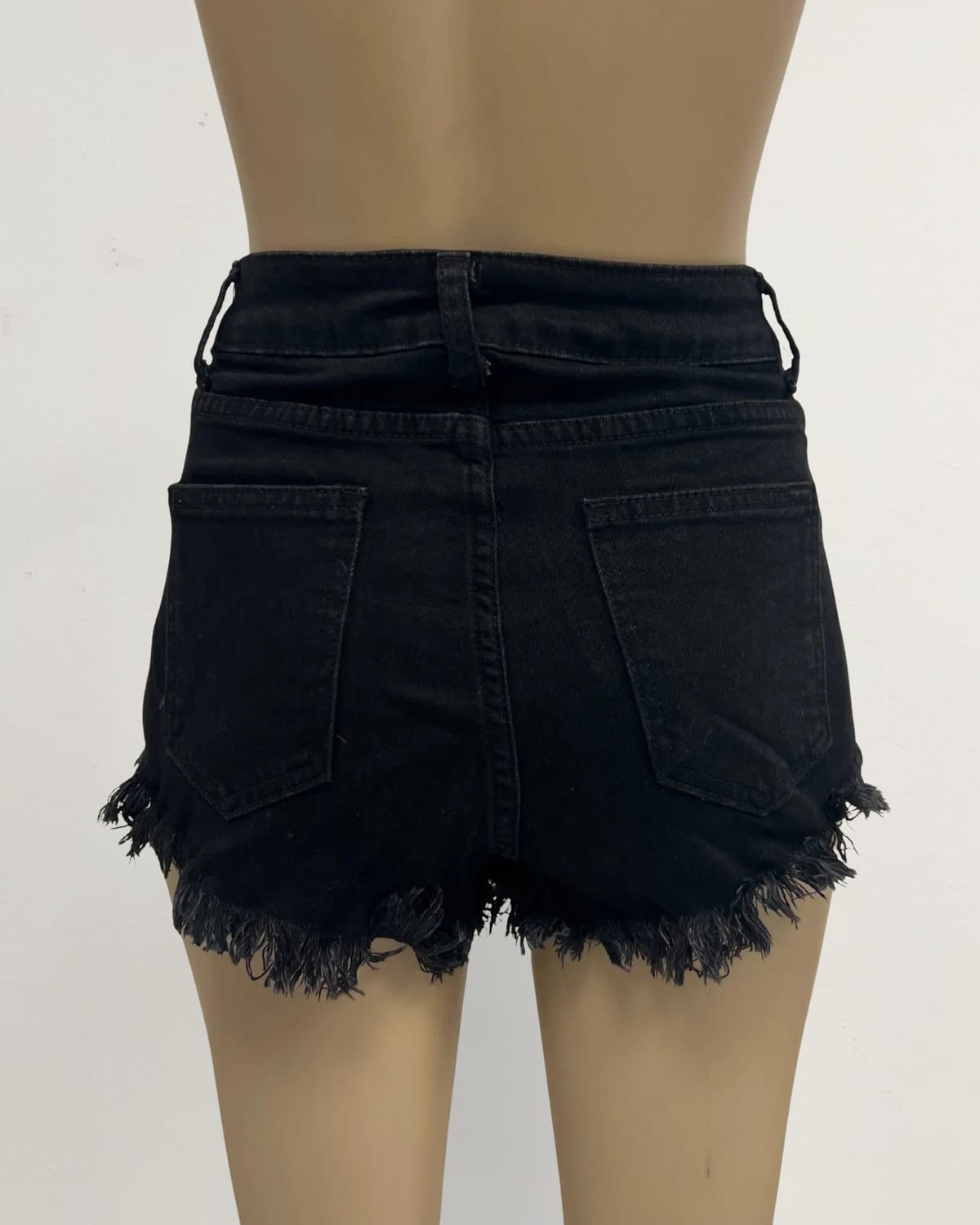SHORT CAMINO